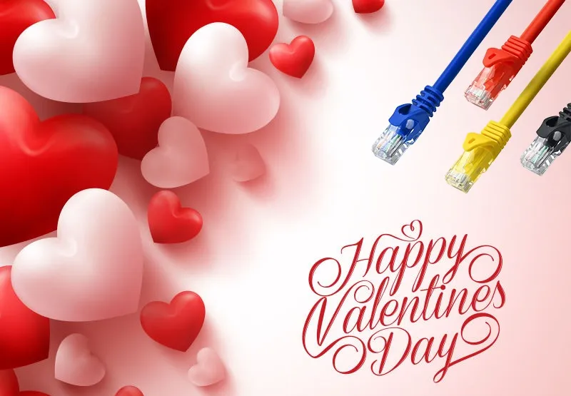 Surprised Love Story with Ethernet Patch Cable in Valentine's Day